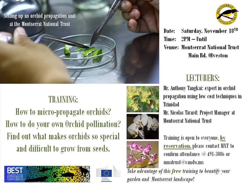 Invitation Orchid training -Nov18