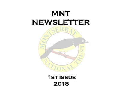 Newsletter2018-featured-image