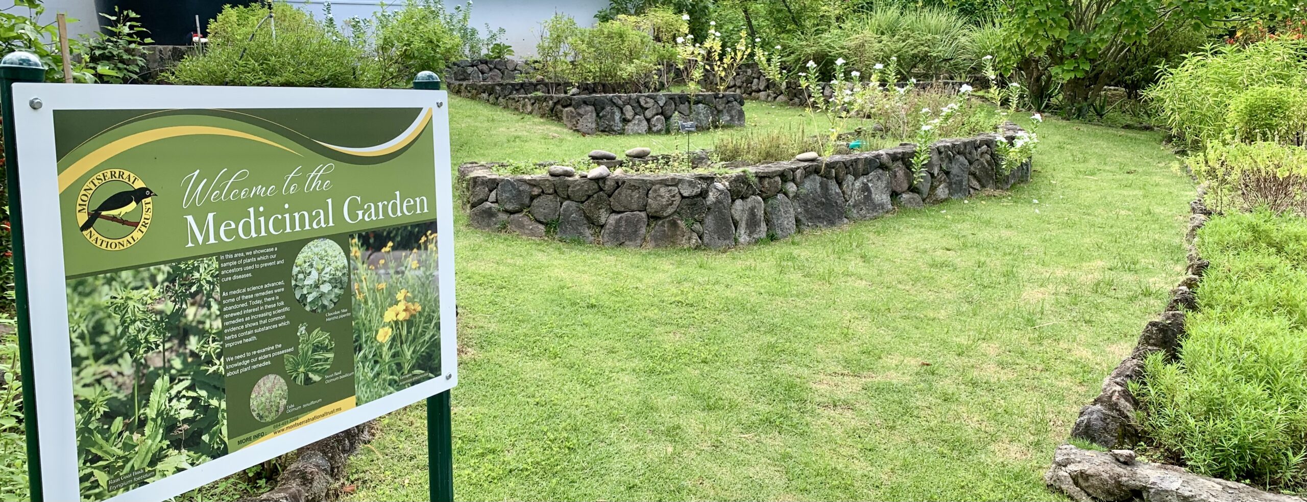 Wideshot of a Medicinal garden sign and plant beds on a sunny day