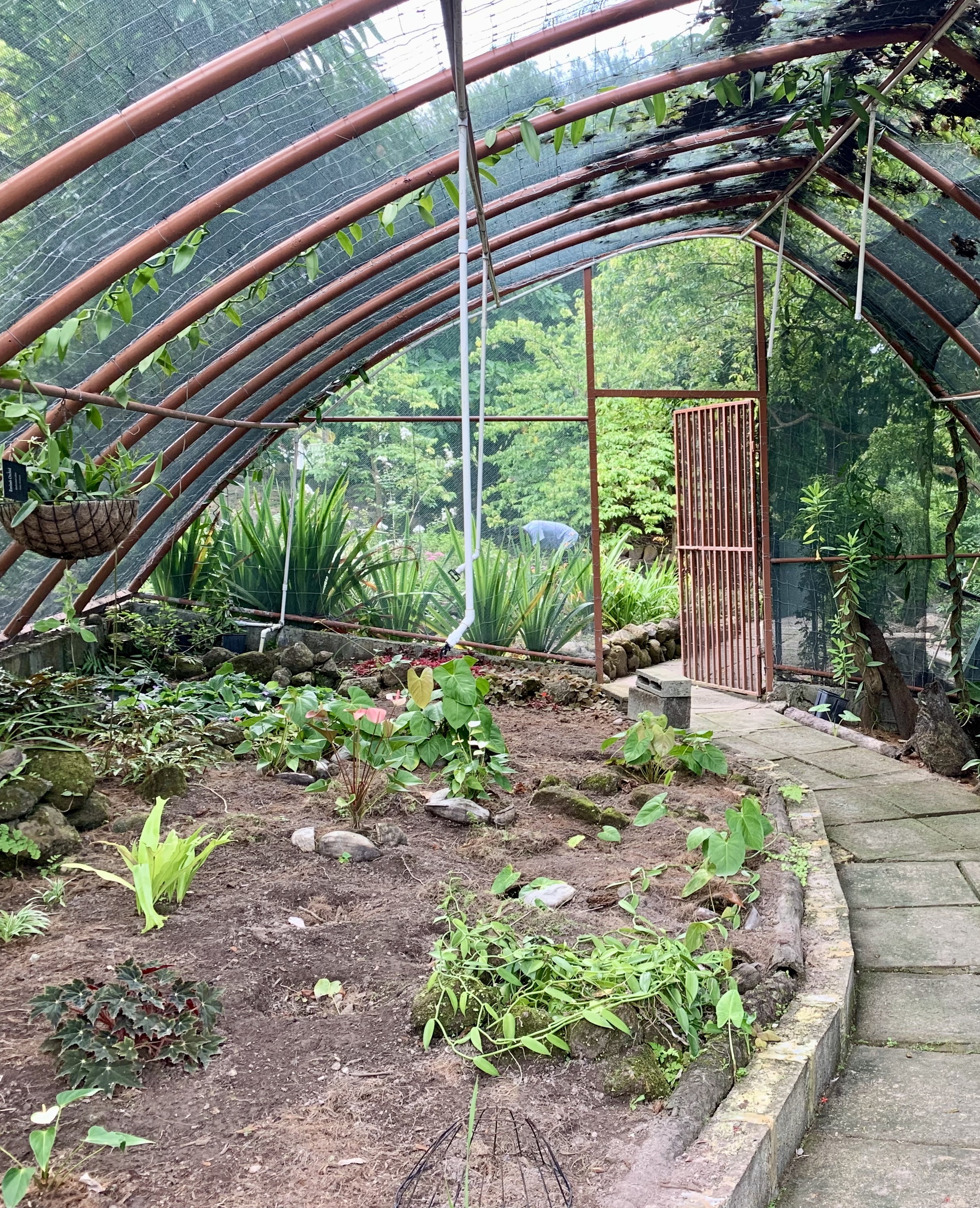 Long shot of the left side of an orchid house on a sunny day