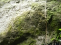 Petroglyphs