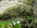 Petroglyphs at Soldier Ghaut