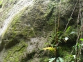 Petroglyphs at Soldier Ghaut