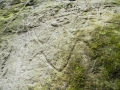 Petroglyphs at Soldier Ghaut