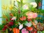 Flower show