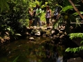 MC teamin the garden of MNT