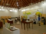 Museum and Exhibition 2013
