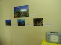 DSCN7302