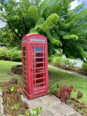 Bright red British phone booth in a lush, green, tropical garden